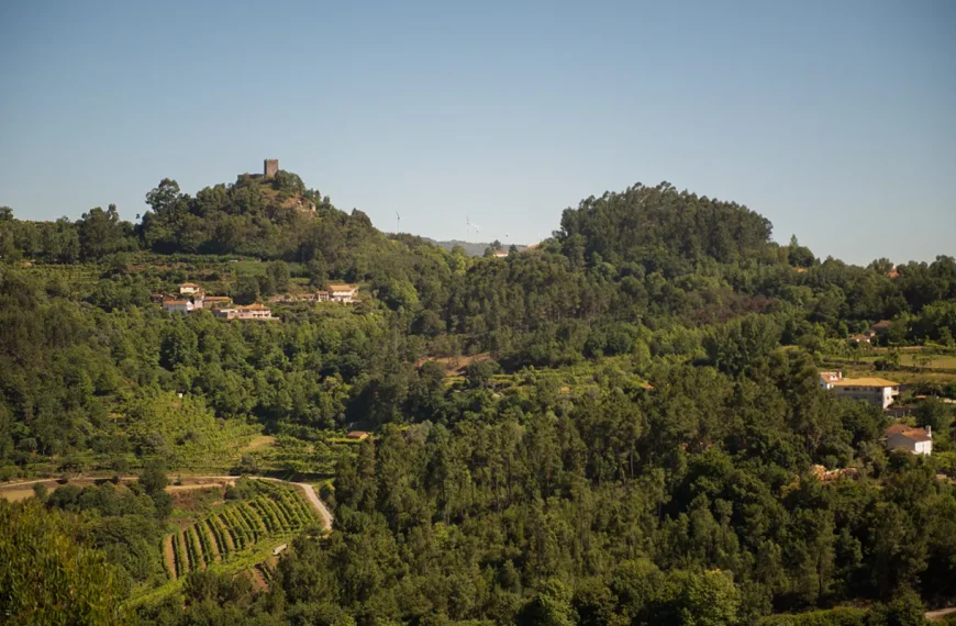 Balcão Único do Prédio (BUPi)