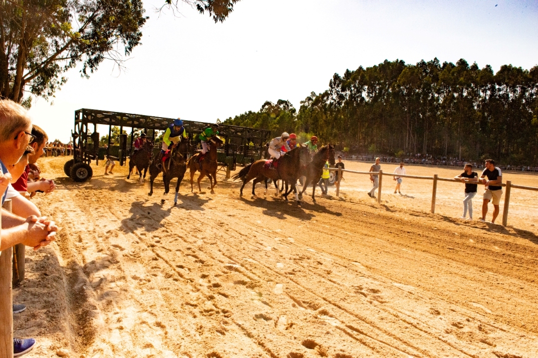 320 melhor ideia de Corrida de cavalos