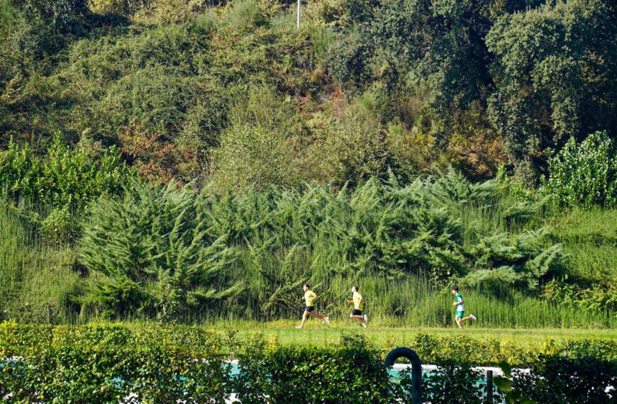 Corta-Mato Escolar reúne dezenas de jovens em Celorico de Basto para promover vida saudável