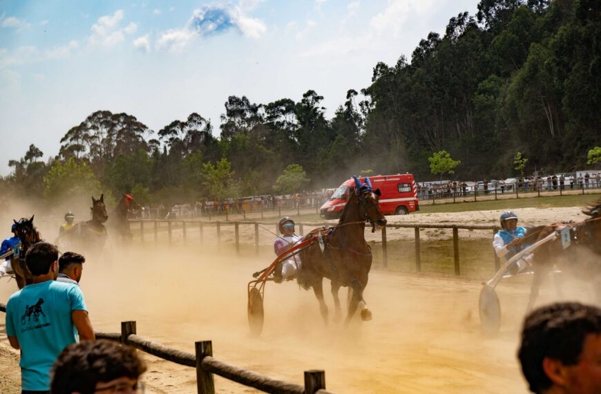 Hipódromo Municipal de Carvalho recebeu centenas de aficionados em mais uma jornada a contar para o Campeonato Nacional