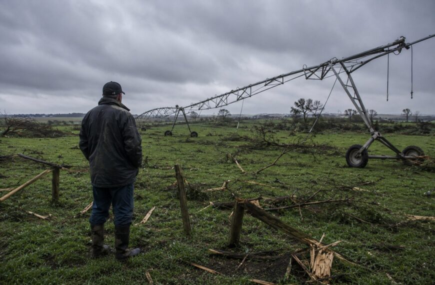 Agricultores Celoricenses com apoio extraordinário até 10 mil euros devido aos danos provocados pela intempérie