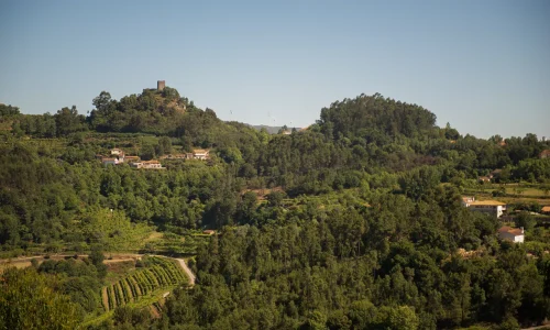 BUPi Celorico de Basto