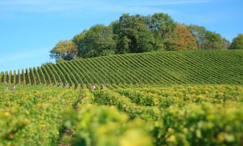 Celorico-de-Basto_Investir_DEE_bck_3a (1)