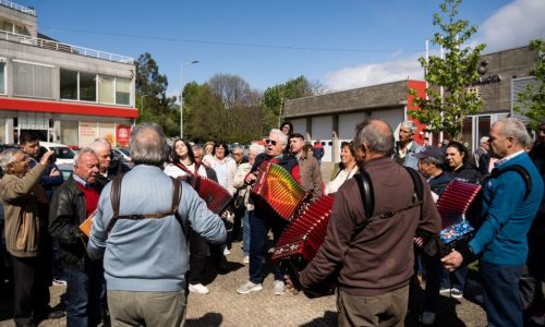 encontro de concertinas - Mota