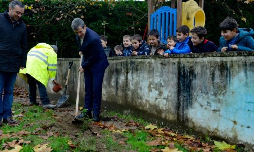Plantação de azevinho e carvalho Português - Floresta autóctone