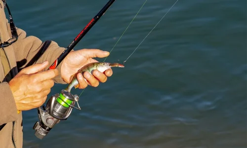 Pesca Desportiva Celorico de Basto
