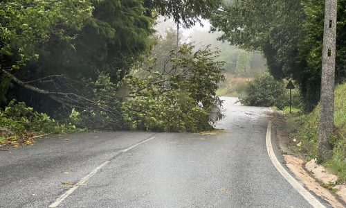 WhatsApp Image 2024-10-09 at 09.43.10