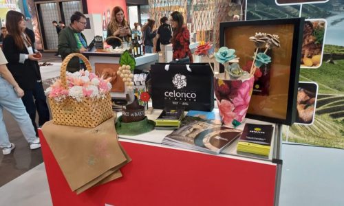 WhatsApp Image 2024-10-25 at 12.20.57