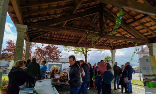 WhatsApp Image 2025-04-13 at 11.20.17