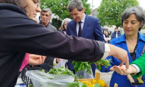 WhatsApp Image 2025-04-25 at 13.20.44