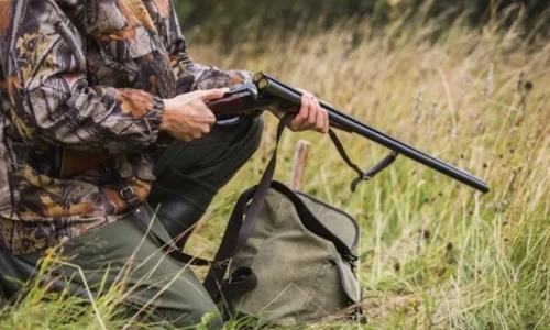 Zona de Caça Celorico de Basto - Web