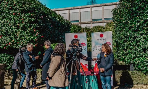 apresentação festa das camélias