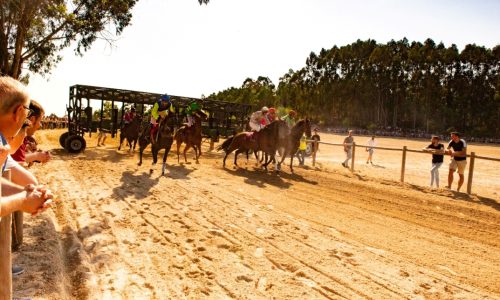 corrida de cavalos