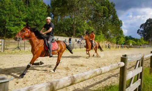 corrida de cavalos passo travado5