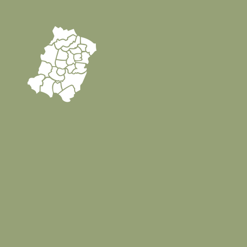 Botão Freguesias