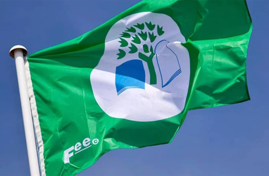 Eco-Escolas