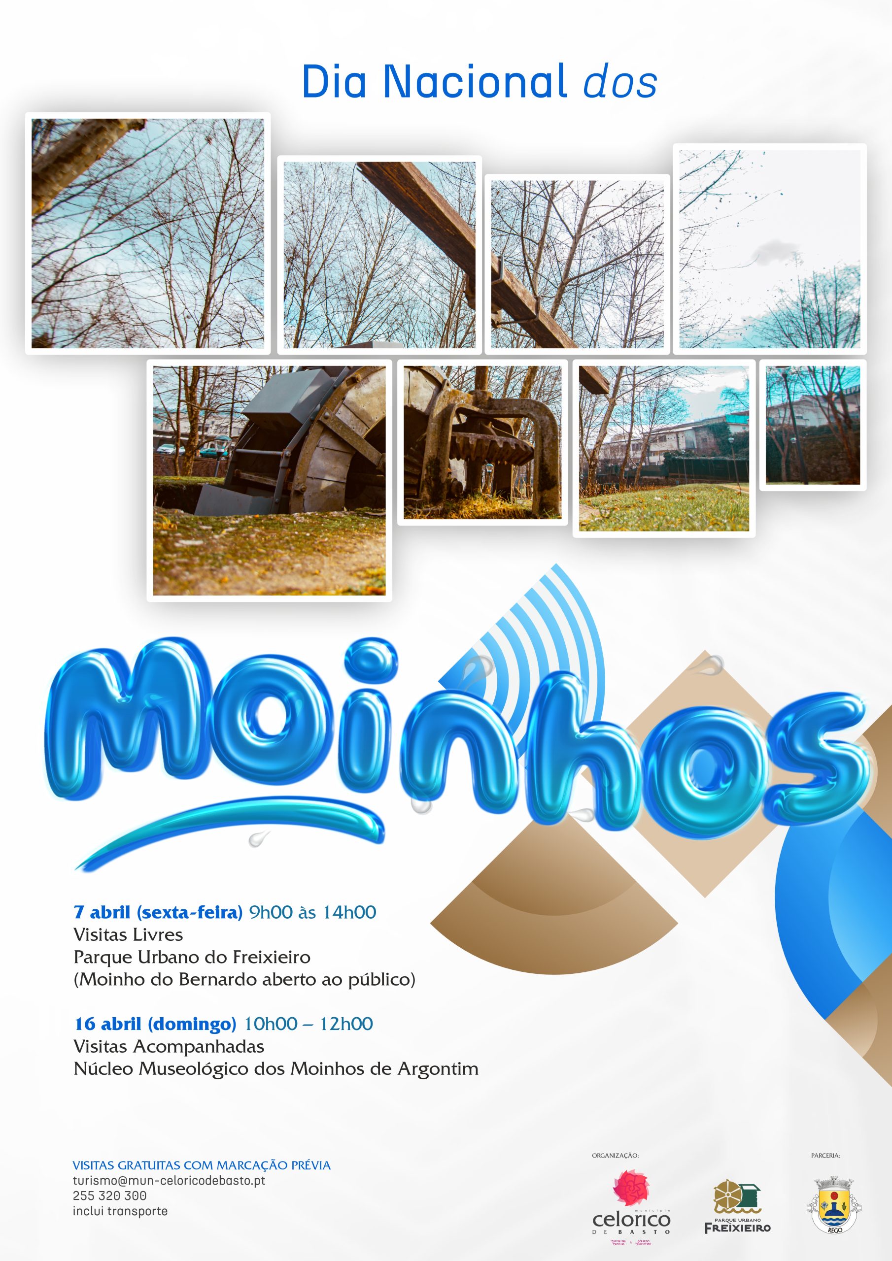 Dia dos Moinhos cartaz
