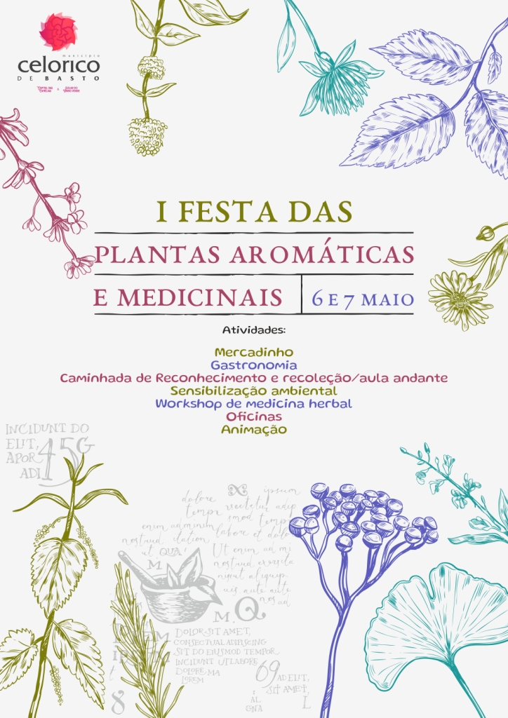 cartaz programa