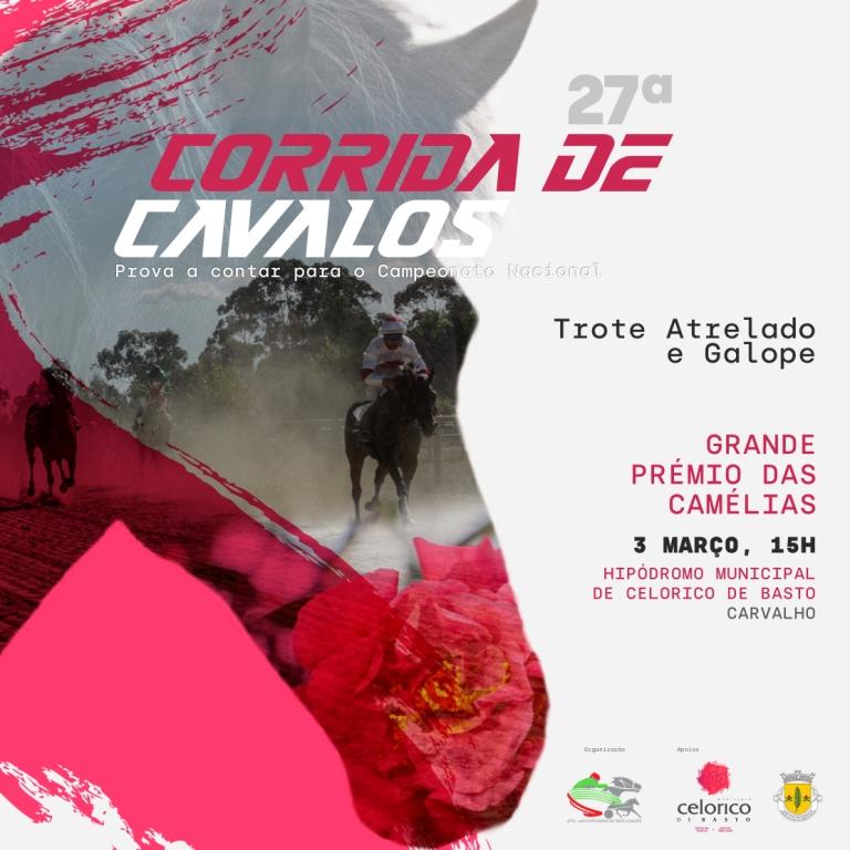 corrida de cavalos - grande prémio das camélias.