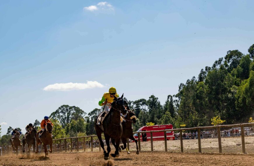 36ª corrida de cavalos a galope e trote atrelado animou hipódromo municipal de Celorico de Basto