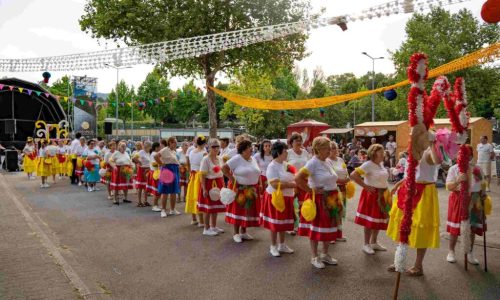 DSC01708