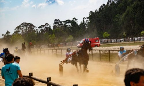 Corrida de Cavalos