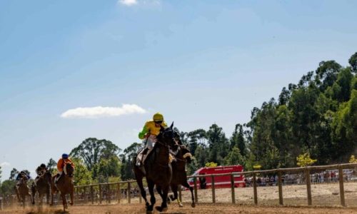 36ª corrida de cavalos