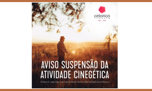 Design sem nome (1)