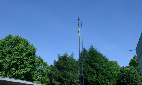 eco escolas hastear de bandeira