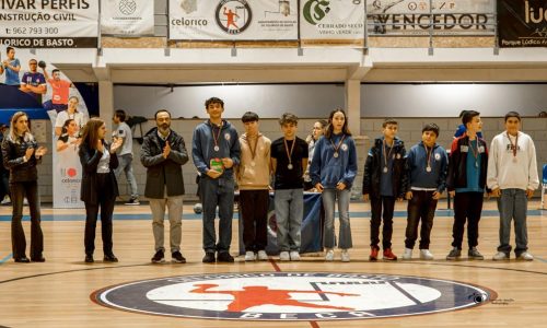 desporto escolar - andebol (5)