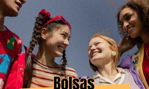 ensino superior - acesso