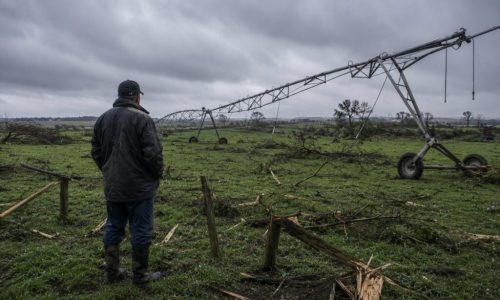 apoio a agricultores