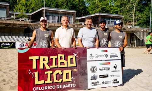 Tribolico