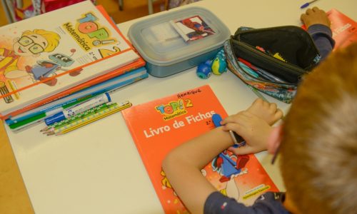 livros de fichas