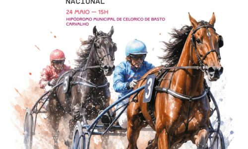 35ªcorrida cavalos