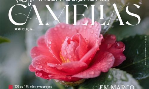 Imagem da Festa Internacional das Camélias'26