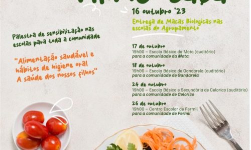 post_programa pequeno