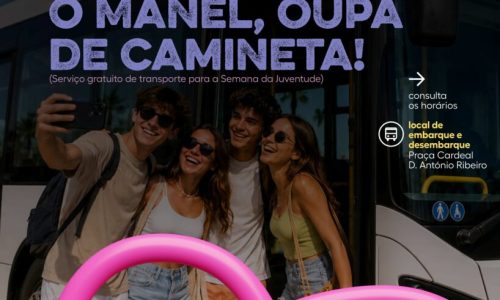 transporte gratuito
